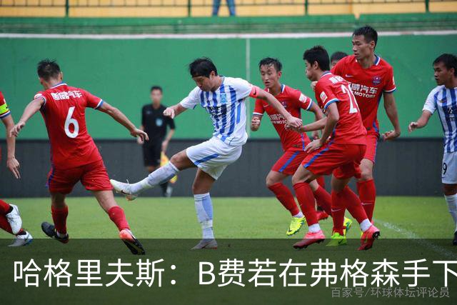 哈格里夫斯：B费若在弗格森手下说这话，就没机会再上场了