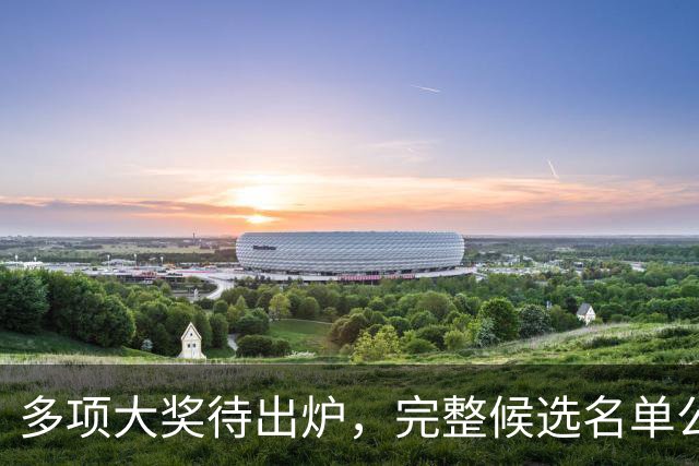 多项大奖待出炉，完整候选名单公布，凌晨将揭晓全部结果