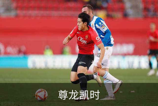 尊龙凯时公司简介