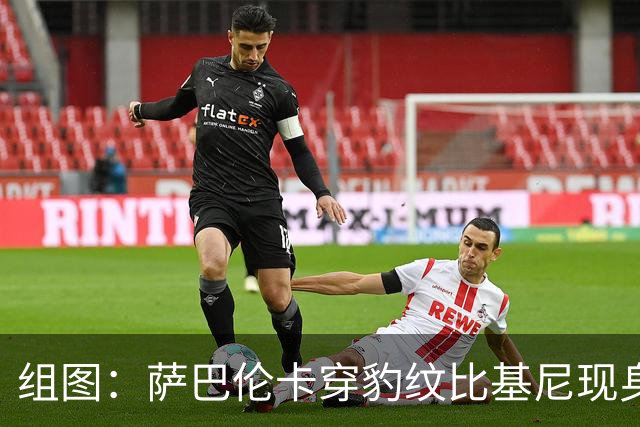 组图：萨巴伦卡穿豹纹比基尼现身海边 展示曼妙曲线